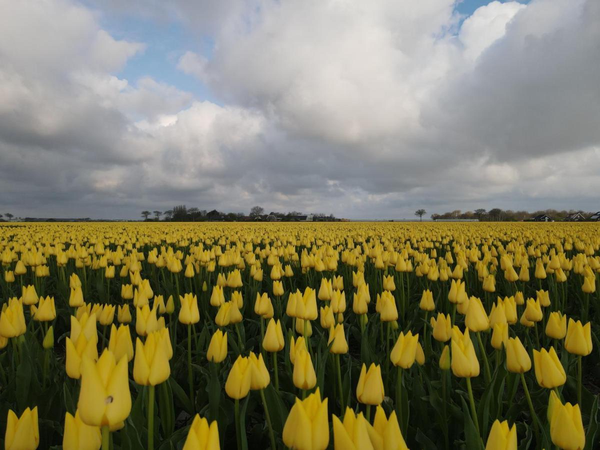 Camping De Tulpenweide Lege Kampeerplaats, Lege Plaats Op Het Gras Zonder Bed Breezand Екстер'єр фото