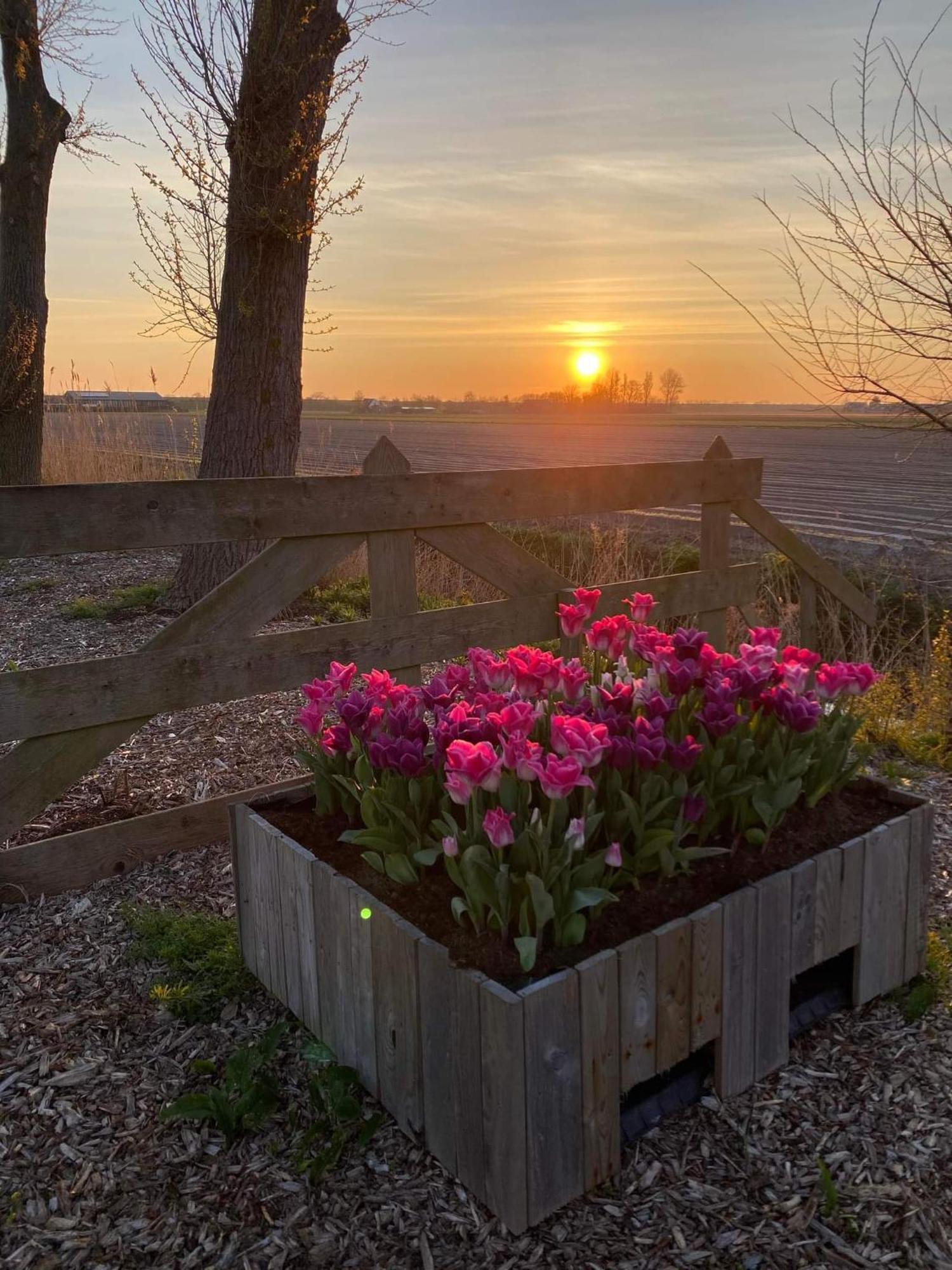 Camping De Tulpenweide Lege Kampeerplaats, Lege Plaats Op Het Gras Zonder Bed Breezand Екстер'єр фото