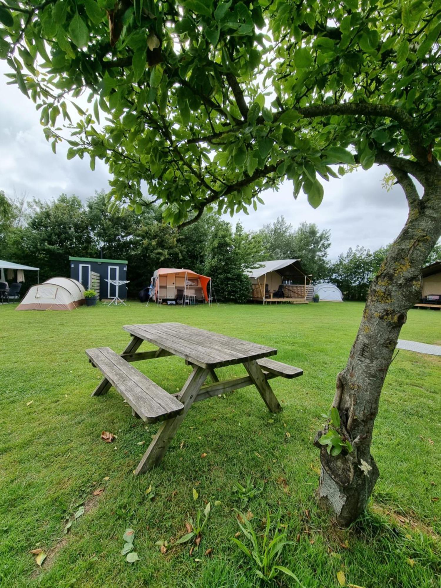 Camping De Tulpenweide Lege Kampeerplaats, Lege Plaats Op Het Gras Zonder Bed Breezand Екстер'єр фото