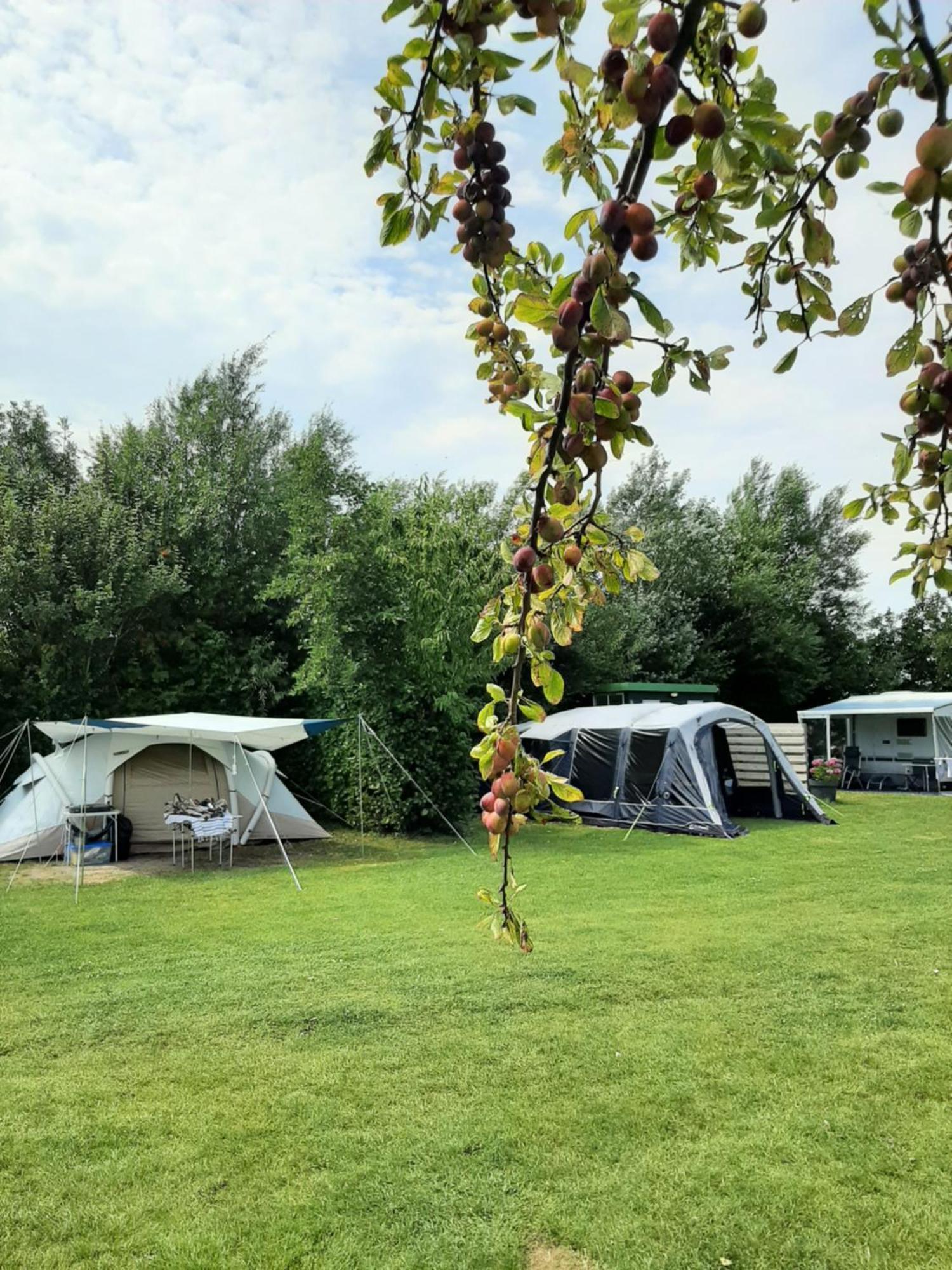 Camping De Tulpenweide Lege Kampeerplaats, Lege Plaats Op Het Gras Zonder Bed Breezand Екстер'єр фото
