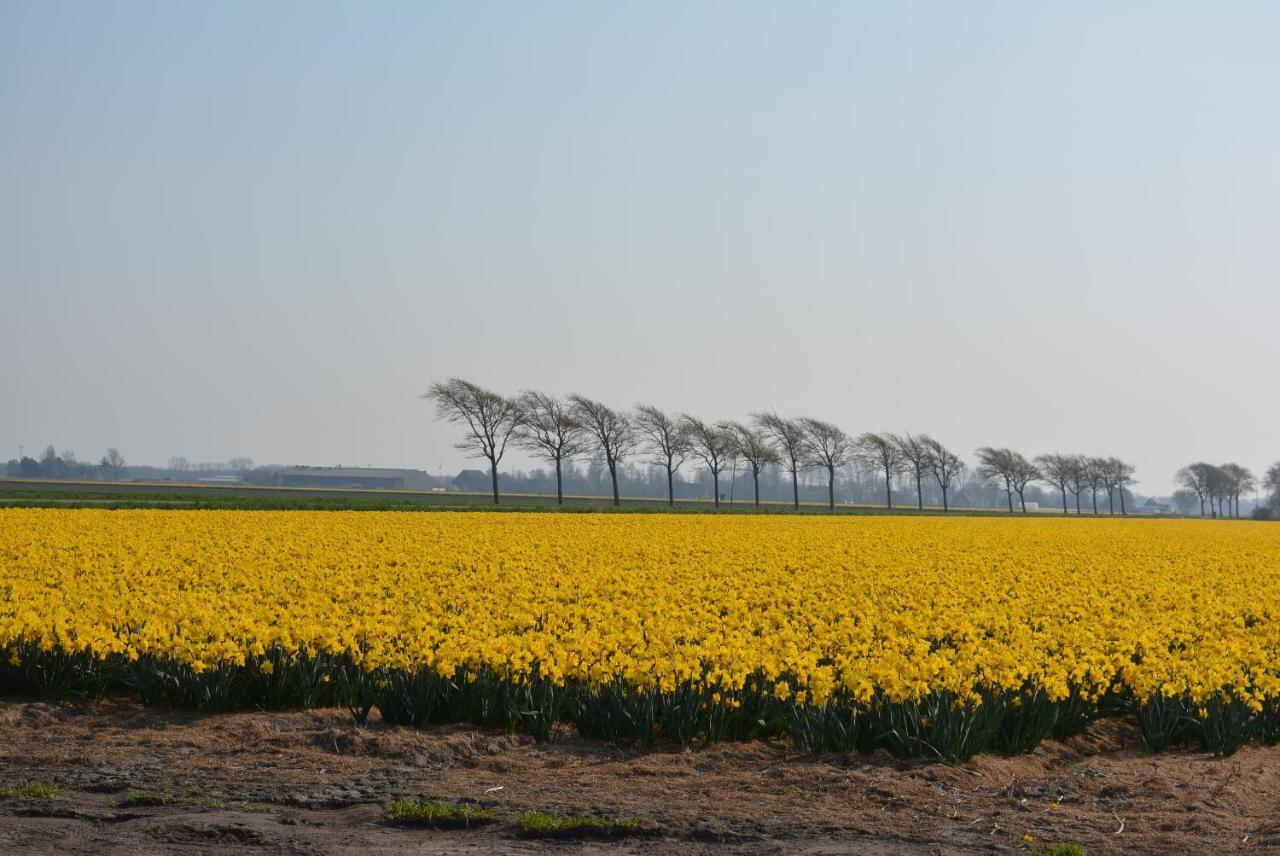 Camping De Tulpenweide Lege Kampeerplaats, Lege Plaats Op Het Gras Zonder Bed Breezand Екстер'єр фото