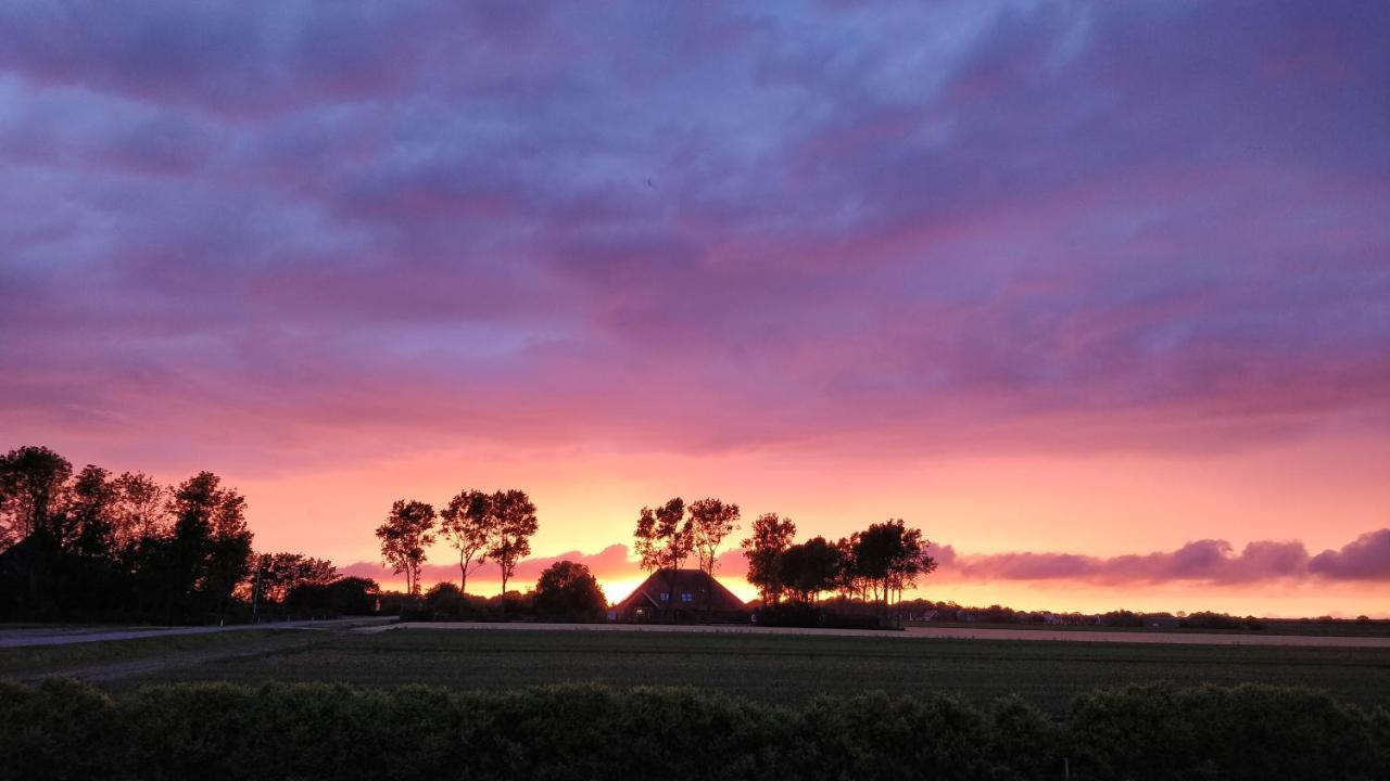 Camping De Tulpenweide Lege Kampeerplaats, Lege Plaats Op Het Gras Zonder Bed Breezand Екстер'єр фото